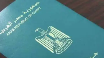 إبعاد خارج البلاد».. قرارات مهمة من وزير الداخلية بشأن 42 مصريًا